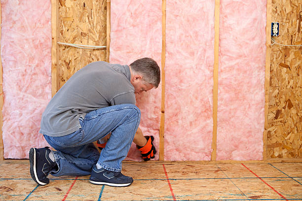 Best Cellulose Insulation  in Port Jervis, NY