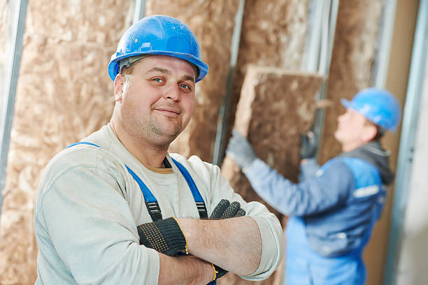 Best Insulation Removal  in Port Jervis, NY